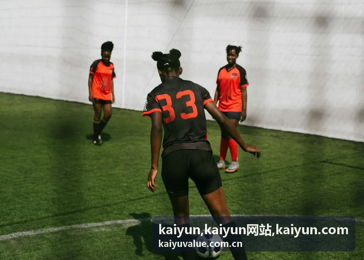 kaiyun网站入口认知与企业信息路径